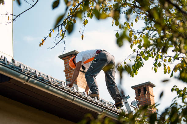 Best Best Roofing Contractors  in Rineyville, KY