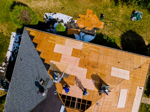 Best Metal Roofing Contractor  in Rineyville, KY