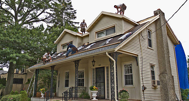 Best Metal Roofing Contractor  in Rineyville, KY