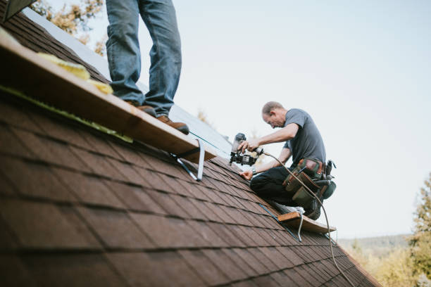 Best Roof Gutter Cleaning  in Rineyville, KY