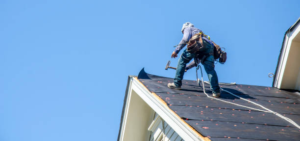 Professional Roofing Contractor in Rineyville, KY